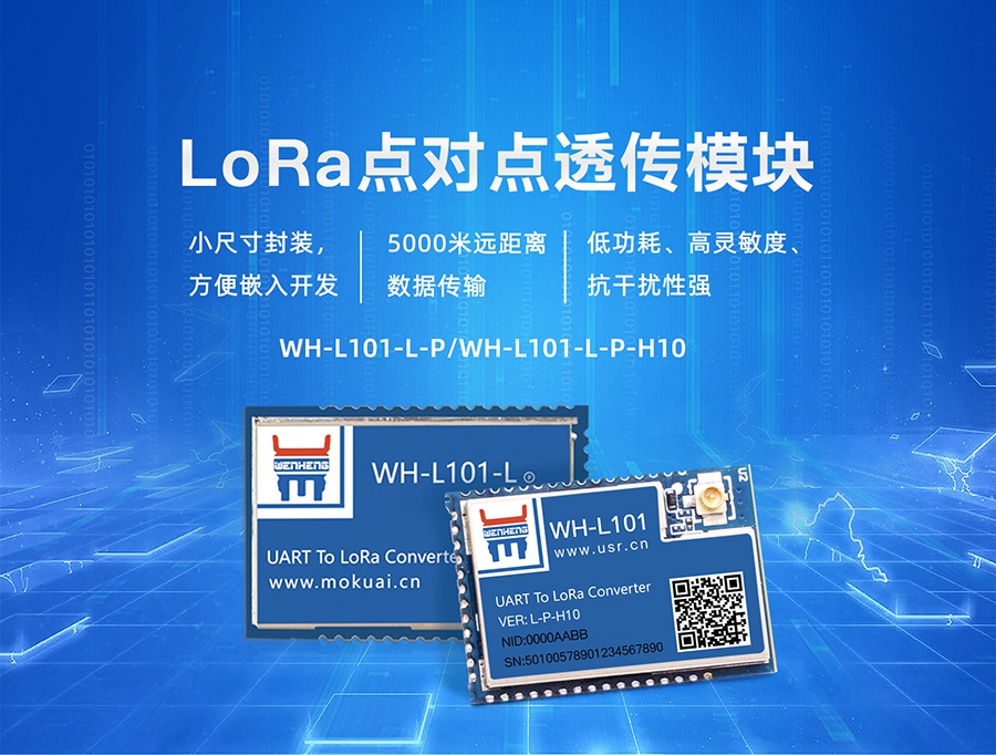 LoRa�o����ݔģ�K_�c���c/LoRaWAN_LoRa�o����ݔ���g(sh��)